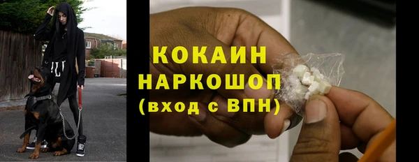 хмурый Алексин