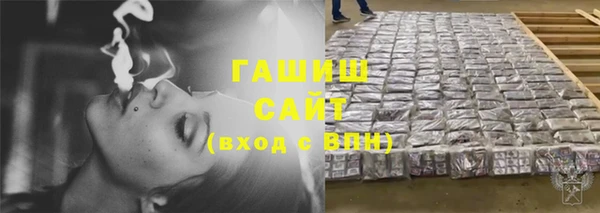 хмурый Алексин
