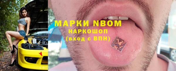 хмурый Алексин