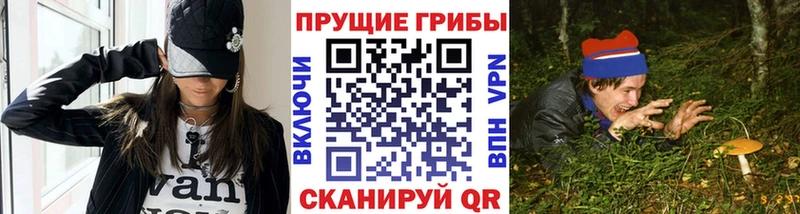omg tor  Кудрово  Галлюциногенные грибы Psilocybine cubensis 