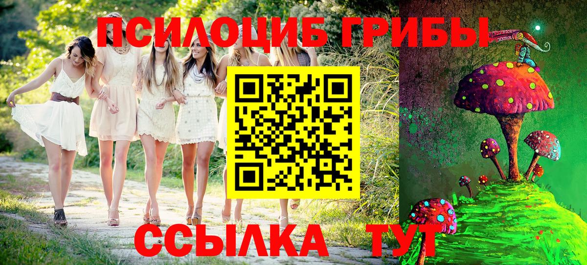 Лсд 25 Кудрово