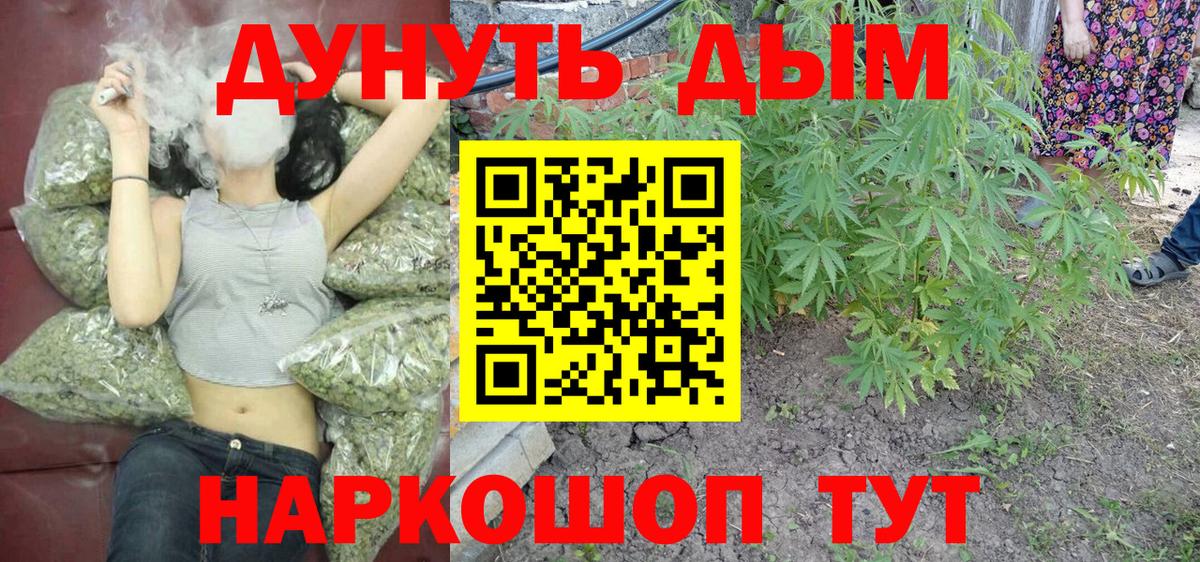 Марихуана планчик  Марихуана MAZAR  Вход с VPN  МАРИХУАНА гибрид  Кудрово 